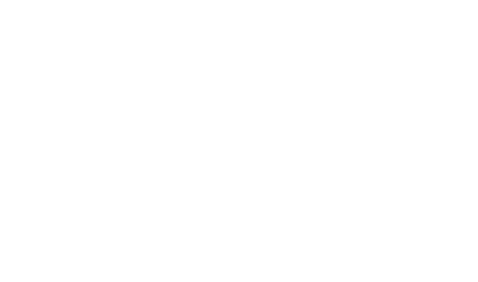 Logo_123003_Hickok_Boardman white logo for dark background